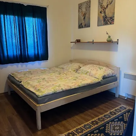 Reinpold Vendeghaz *