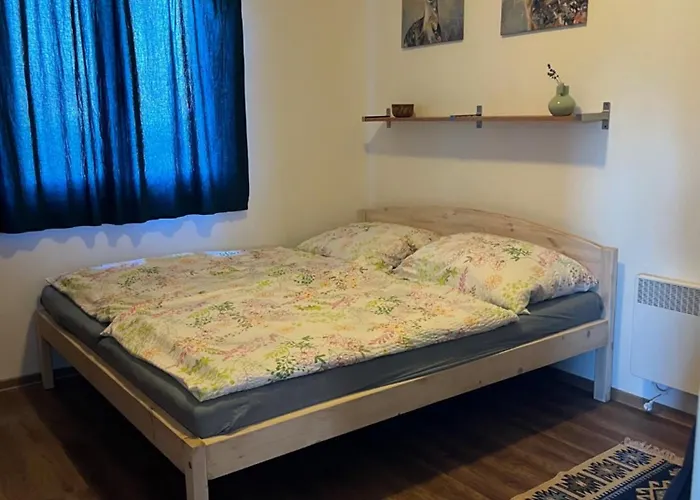 Reinpold Vendeghaz *